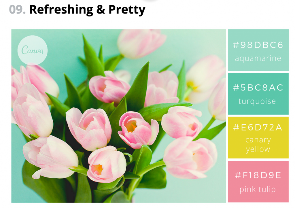 schermata di palette di canva per parlare dei tool online per scegliere lo schema colore del sito