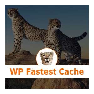 WP Fastest Cache - Consigliato da SOS WP