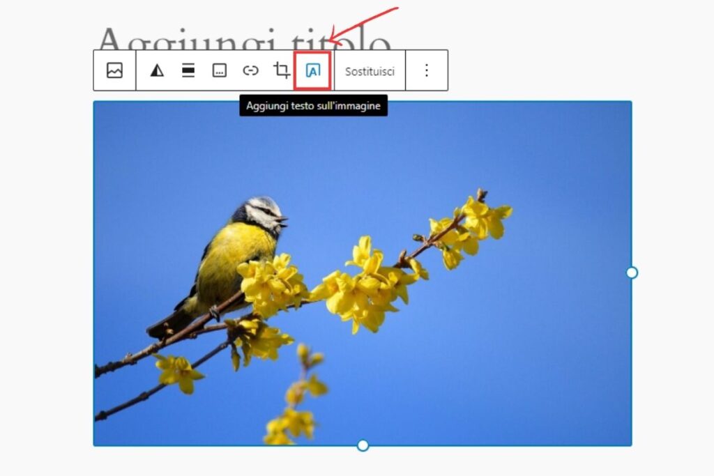 Inserire testo su un'immagine WordPress