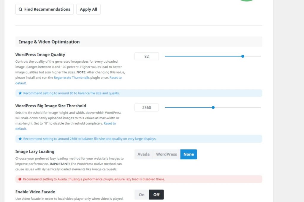 Step 6 Performance Wizard di Avada