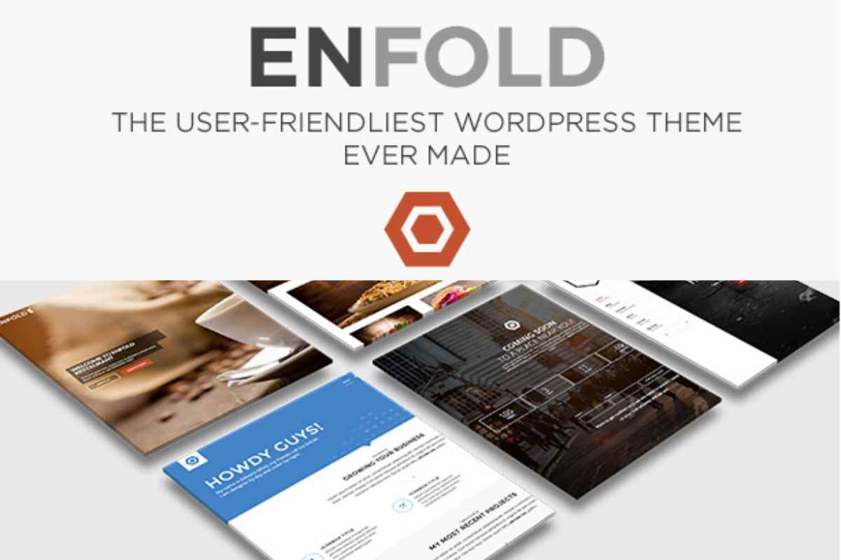 Enfold user friendly theme