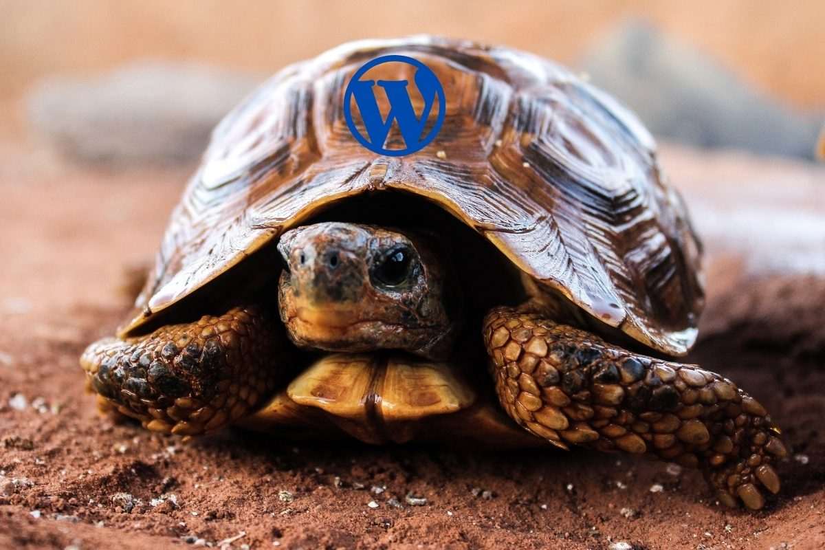 errori di performance che rallentano il tuo sito wordpress