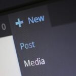 CMS sito Wordpress