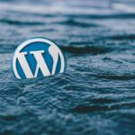 Simbolo WordPress in mano