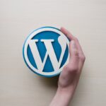Logo WordPress in una mano