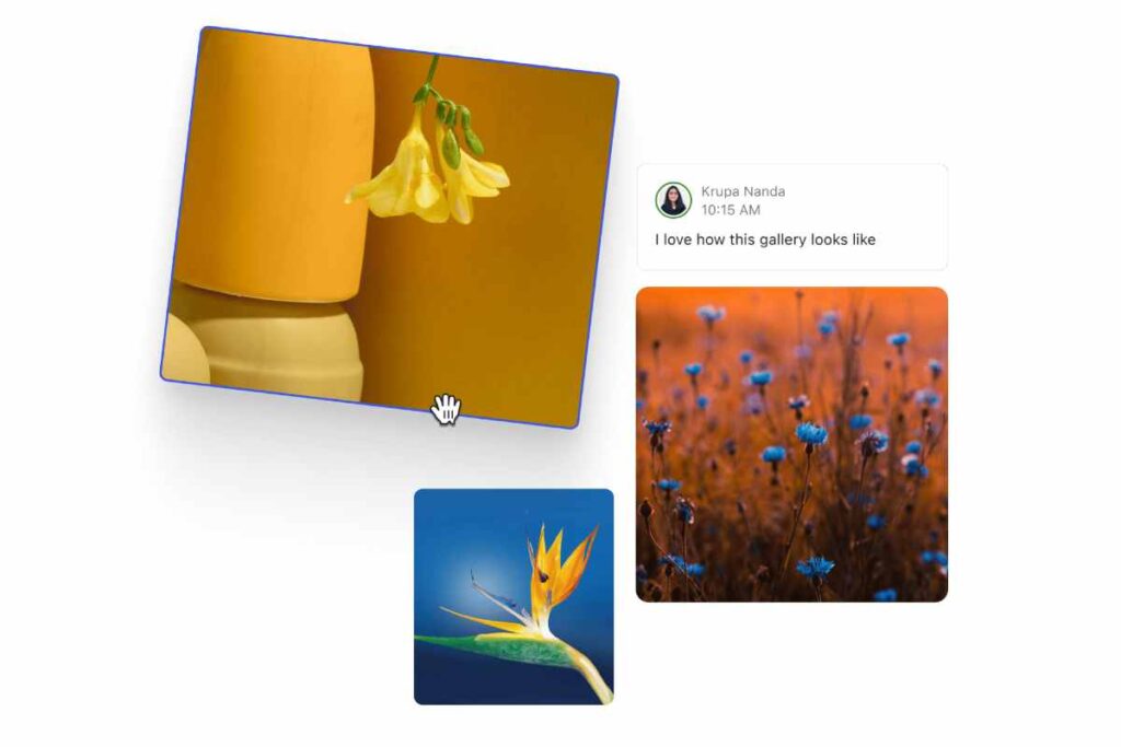 commenti dentro wordpress 6.9