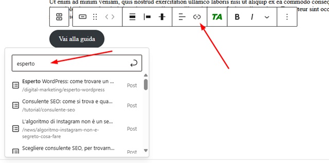 Inserire link al pulsante WordPress