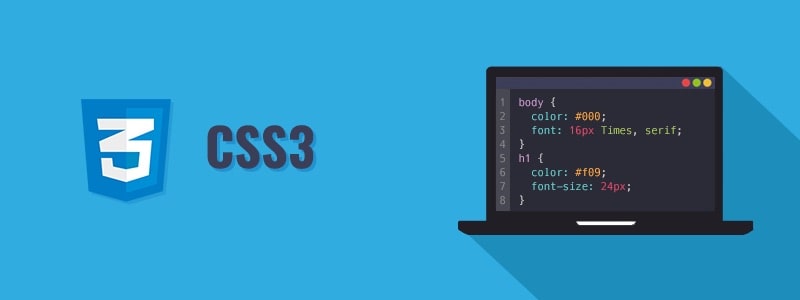 Dove modificare il CSS di un tema WordPress