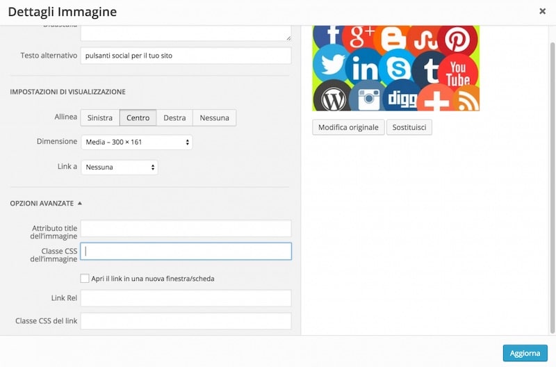 modificare le immagini WordPress con il CSS