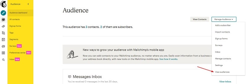 Audience MailChimp