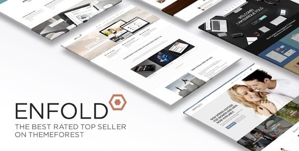 WordPress Enfold Theme