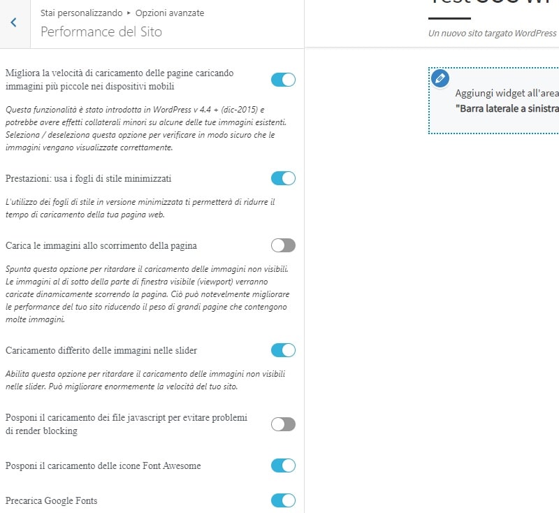 Impostazioni Customizr per migliorare le performance