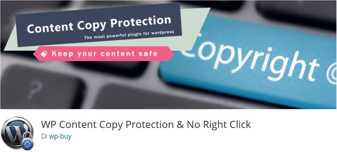 Plugin per proteggere il copyright dei contenuti